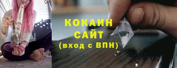 PSILOCYBIN Тайга