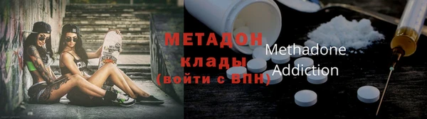 PSILOCYBIN Тайга