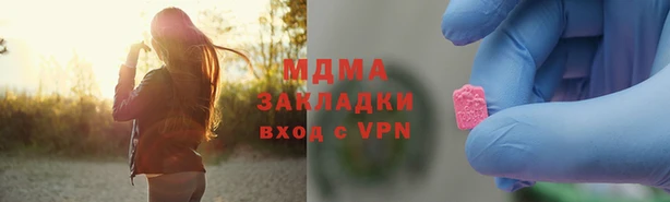 PSILOCYBIN Тайга