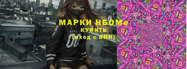 PSILOCYBIN Тайга