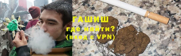 PSILOCYBIN Тайга