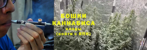PSILOCYBIN Тайга