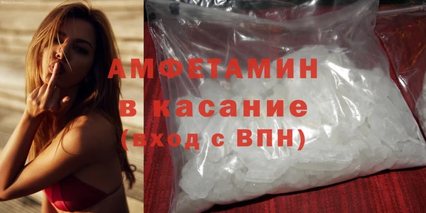 PSILOCYBIN Тайга
